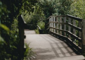 le pont